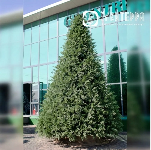 Финская искусственная интерьерная елка, высота 3 м, цвет Зеленый